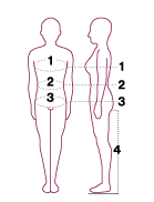 Source measurement diagram