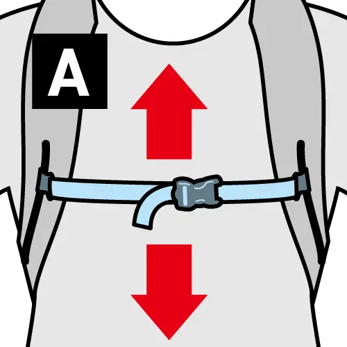 Chest strap