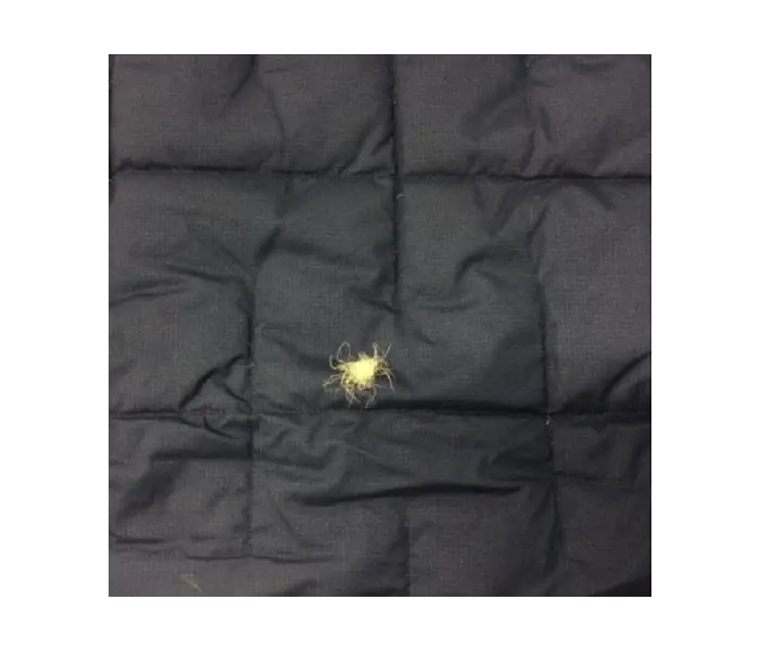 Down jacket before repair: Down feathers protruding from small tears in the fabric.