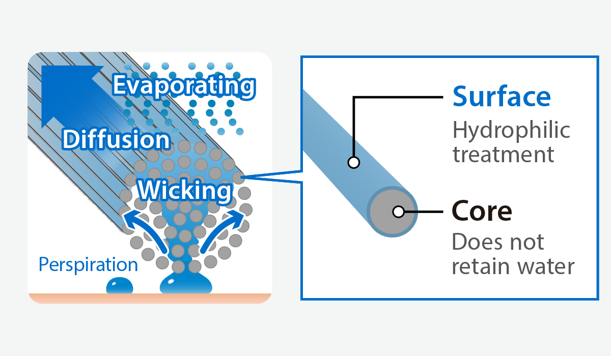Illustration introducing the function that quickly absorbs perspiration from the skin to the fabric and rapidly disperses it over a wide area, preventing perspiration-induced cooling. Explanation follows.