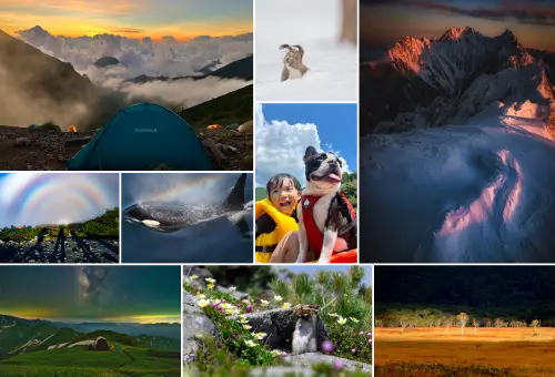 Photos of the winning entries from the 9th Photo Contest (from left to right: mountain and tent, Brocken spectre, orca, Mount Tsurugi, rabbit, child with dog, squirrel, Hotaka mountain range, and a scene from Oze)
