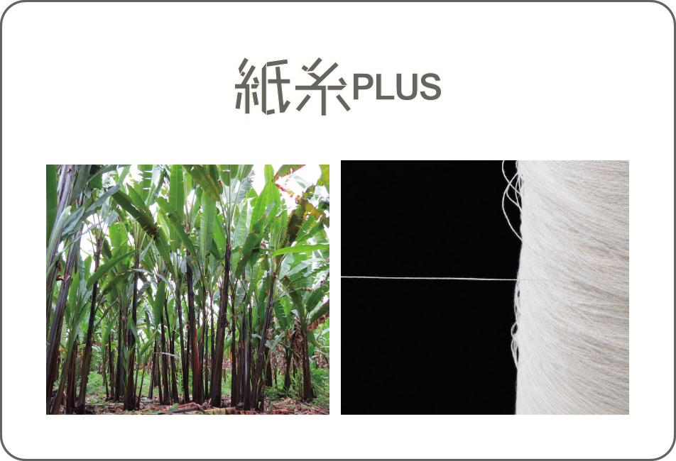 Representative image of Manila hemp and representative image of processed KAMI-ITO fiber.