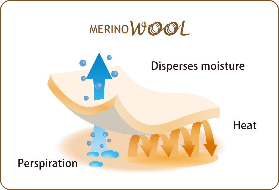 Diagram showing the moisture-regulating properties and heat retention characteristic of Merino wool.