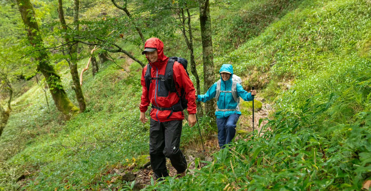 A man wearing a red rain jacket is walking in the forest.