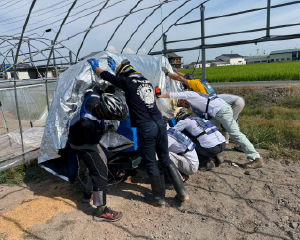 Six volunteers lifting farm equipment inside a greenhouse.