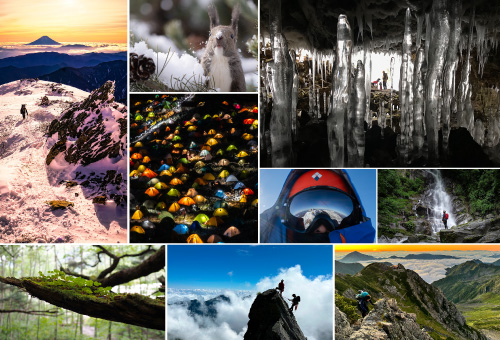 Photos of the winning entries from the 10th Photo Contest