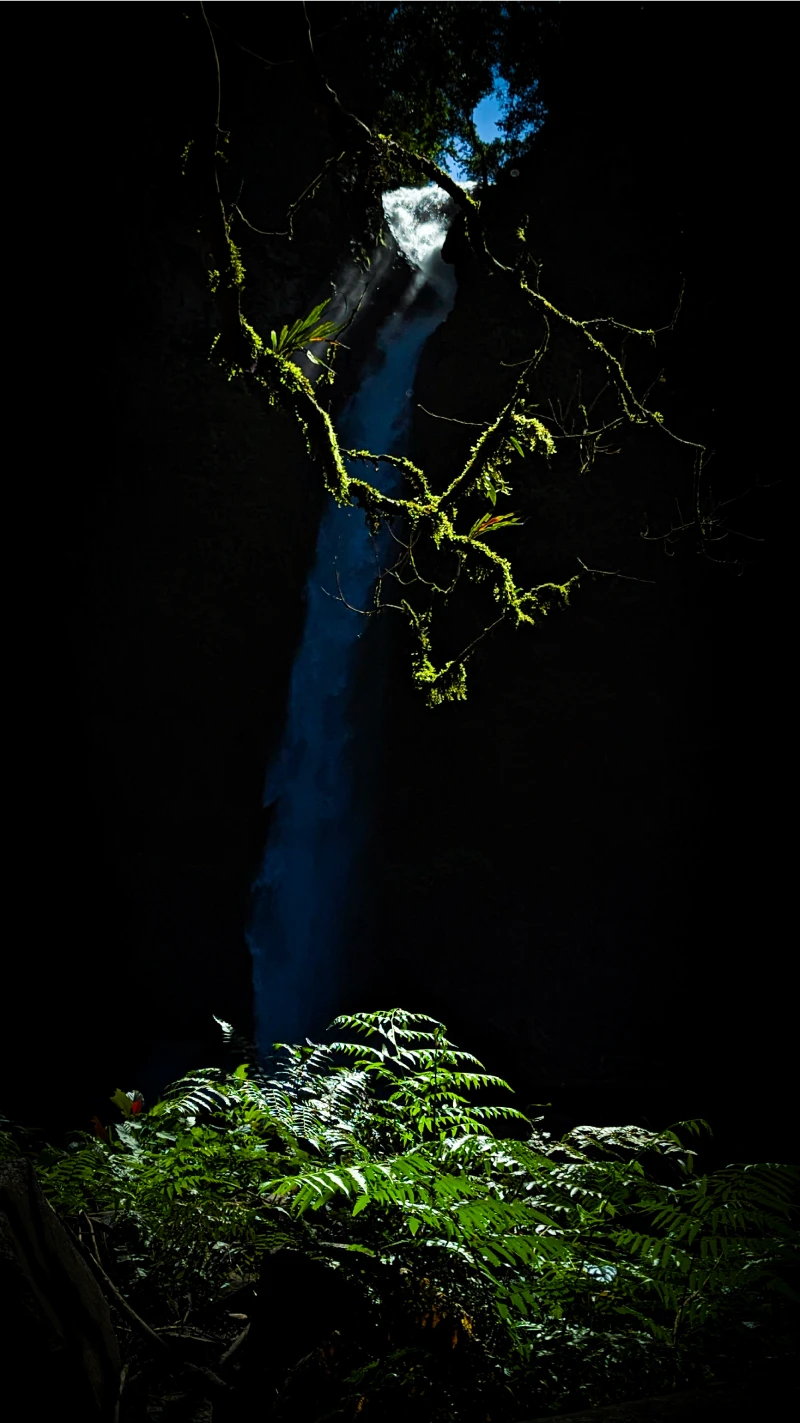 A waterfall flows in the background, while trees in the foreground are illuminated by the sun.