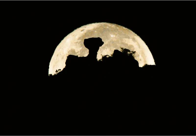 The silhouette of a hammer-shaped rock peak stands out clearly against the bright full moon.