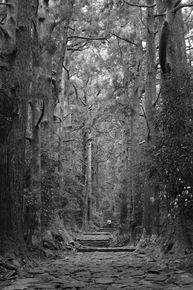 A monochrome photograph of a person walking through a serene forest