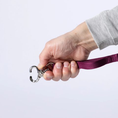 Stretch Dog Lead