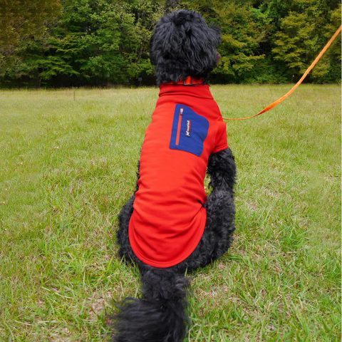 Dog Thermal Jacket Large