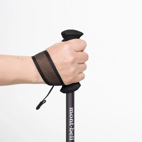 Alpine Folding Pole 110