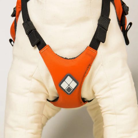 Dog Floatation Vest Large