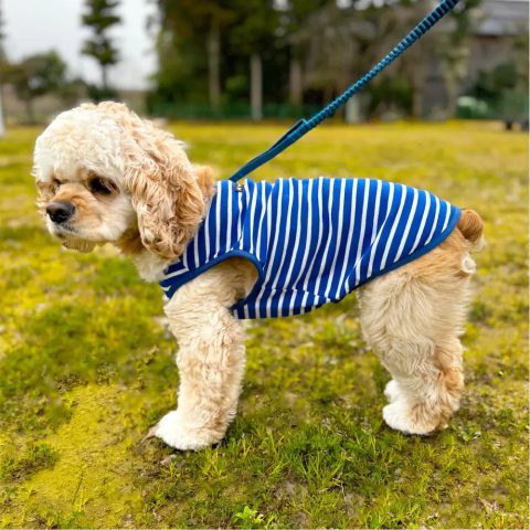 Wickron Dog Shirt Small