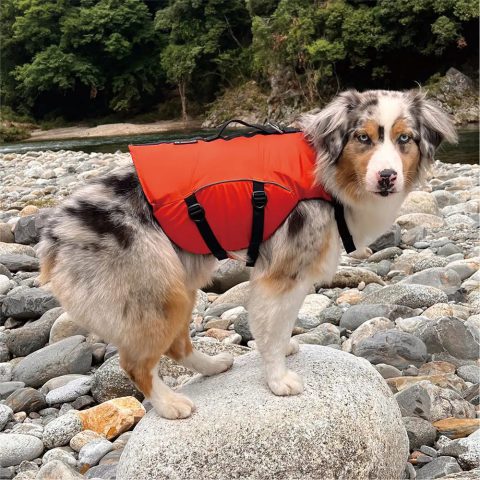 Dog Floatation Vest Small
