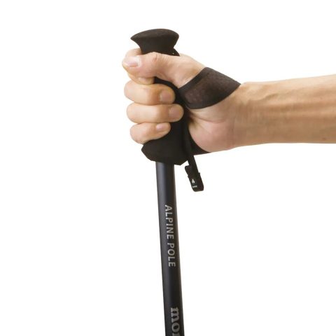 Alpine Carbon Pole