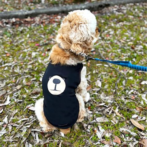Wickron Dog Shirt Monta Bear Face Small