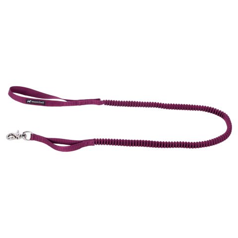 Stretch Dog Lead Stretch Dog Lead