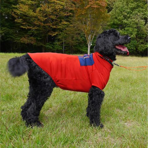 Dog Thermal Jacket Large