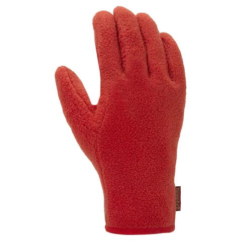 CLIMAPLUS100 Gloves