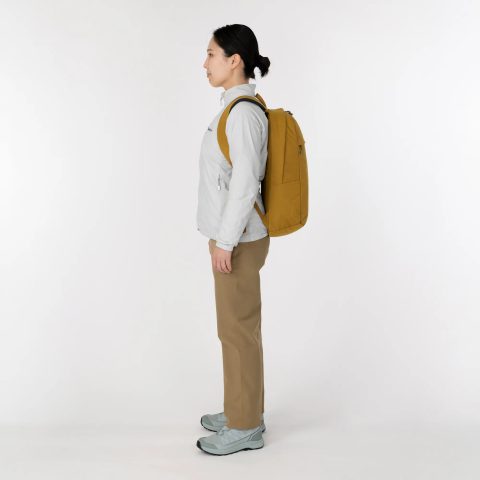 Delight Pack 20