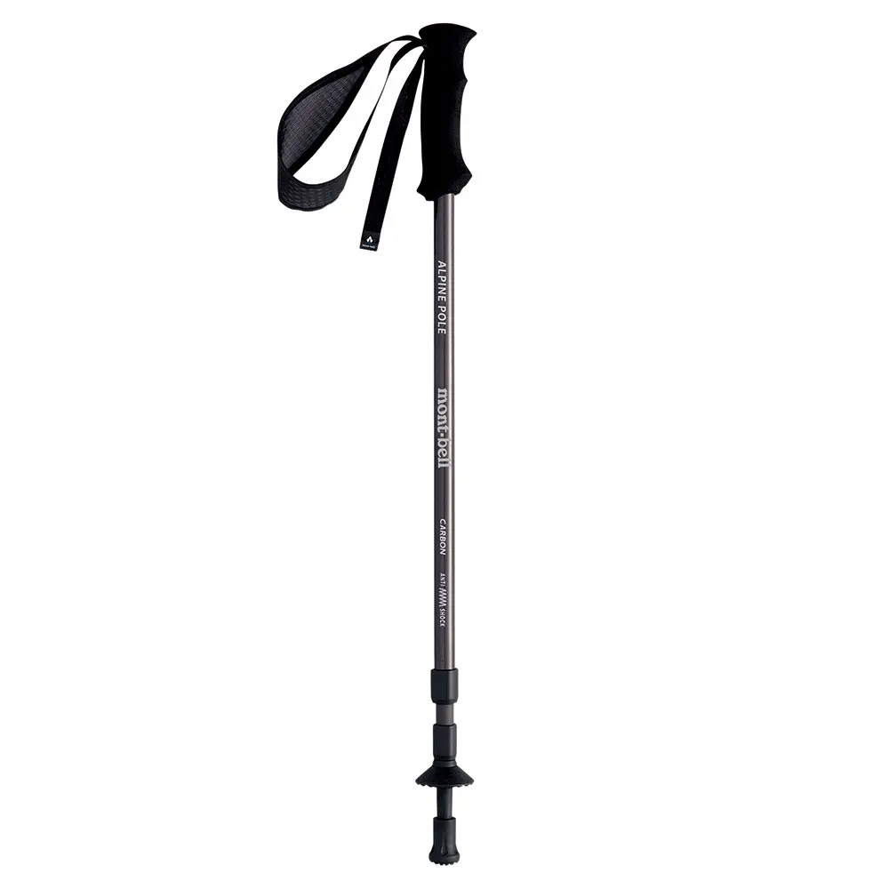 Alpine Carbon Pole Anti Shock