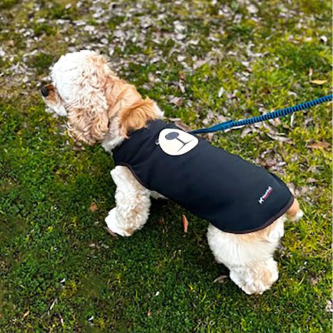 Wickron Dog Shirt Monta Bear Face Large