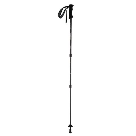 Alpine Carbon Pole