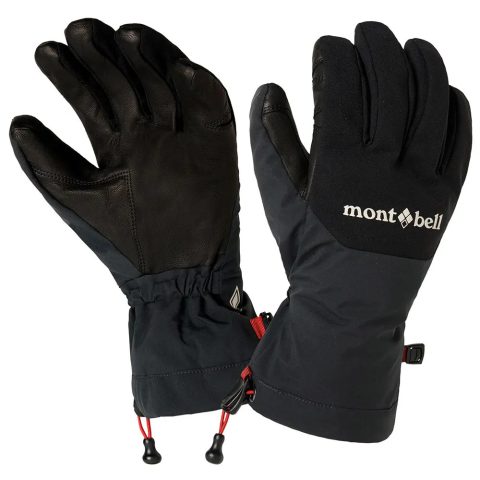Alpine Light Gloves Men's