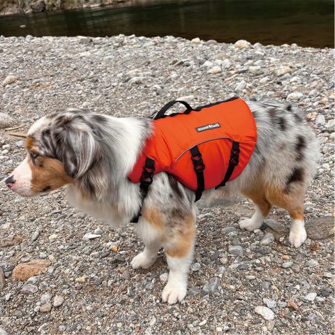 Dog Floatation Vest Large