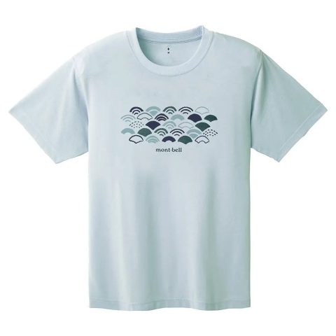 Wickron T Wave Pattern